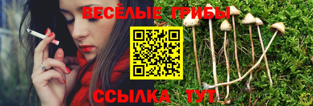 Псилоцибиновые грибы ЛСД  Галлюциногенные грибы Psilocybe  Реж  Вход с VPN 